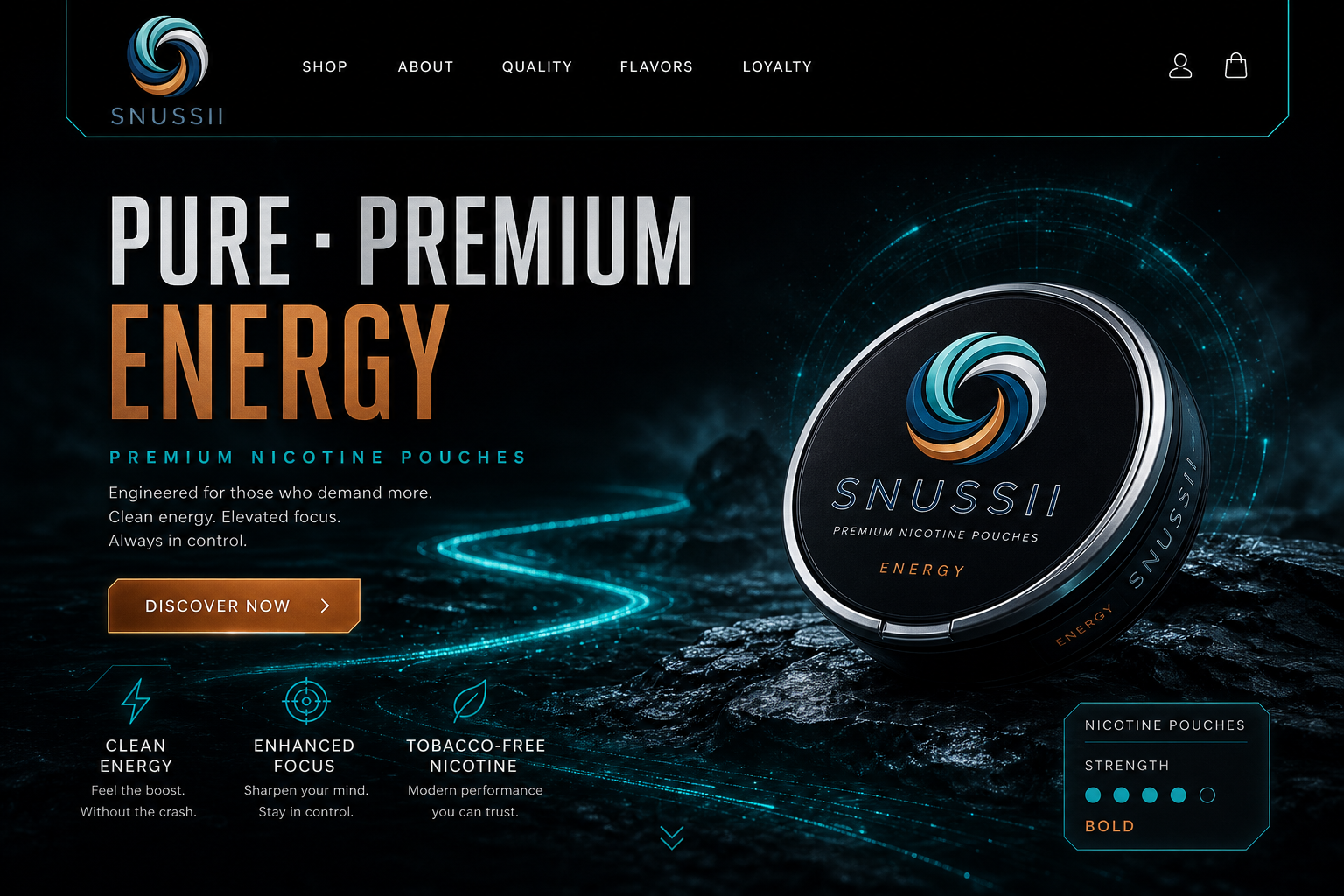 B2C hero — black header with vortex logo, Pure Premium Energy headline, copper CTA
